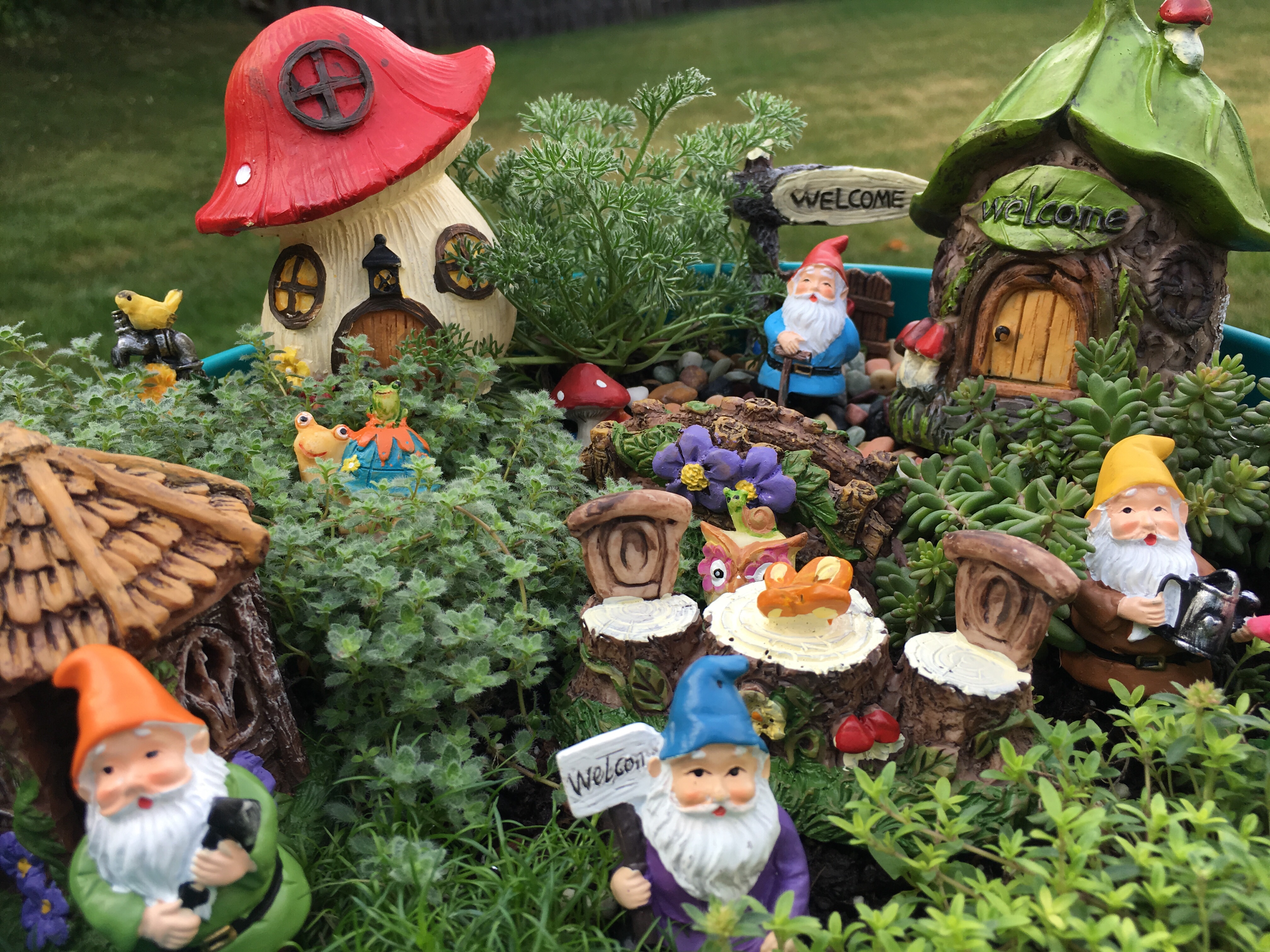 Five Fanciful & Fun Fairy Garden Ideas – Gnome Decor