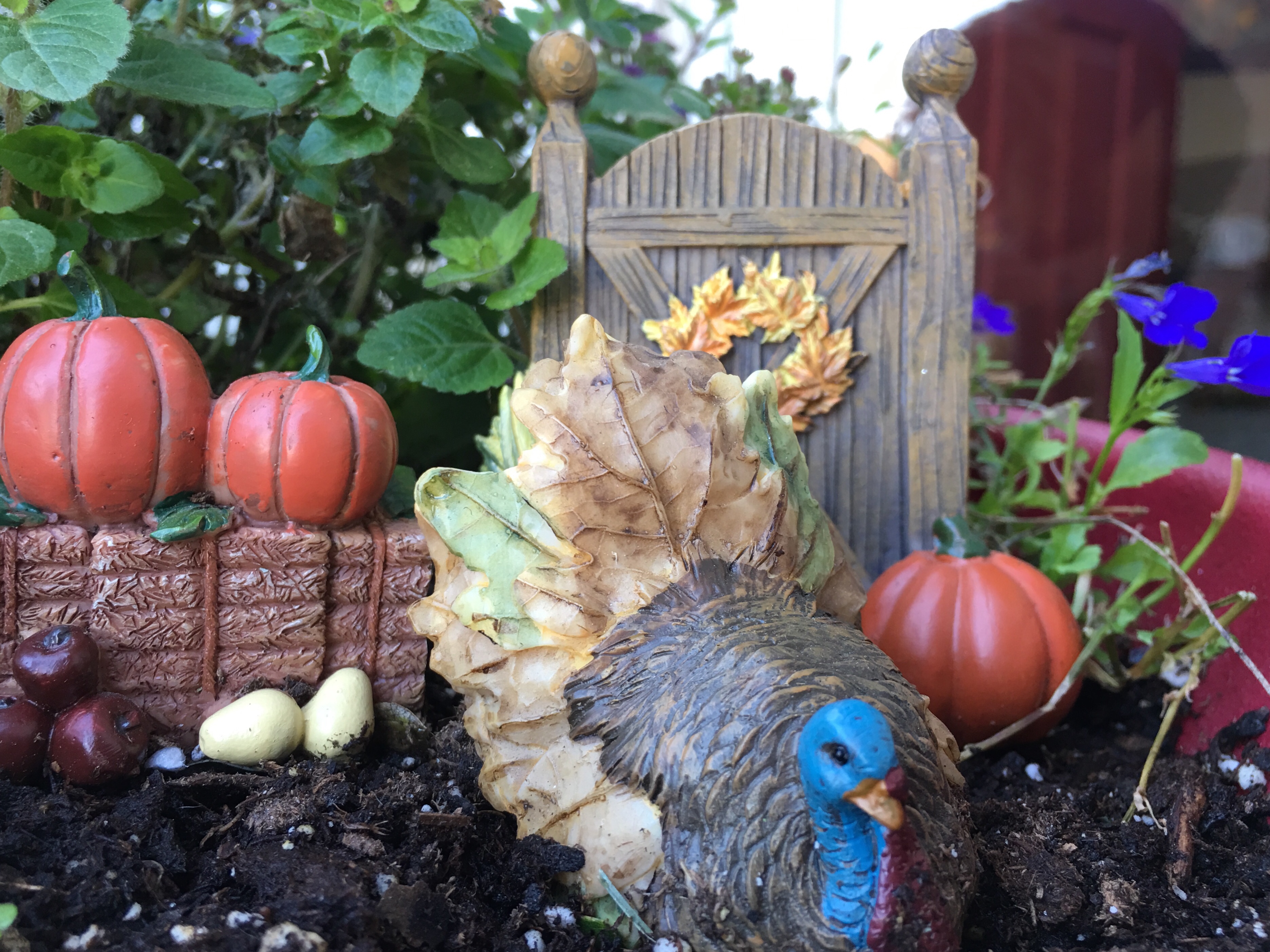Details about   Miniature Fall Thanksgiving Turkey Fairy Garden Gnome Garden NEW in Box 